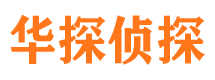 武川市侦探公司